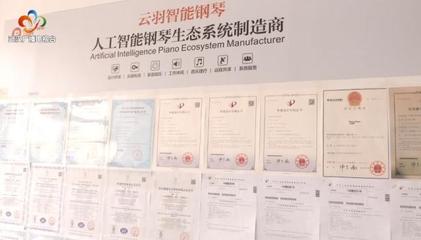 銀發創業傳奇 傾盡家產鑄琴魂，兩年破兩億的跨界逆襲