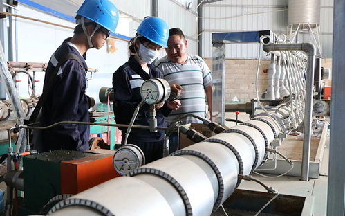 電力護(hù)航5萬畝軟籽石榴興旺發(fā)展